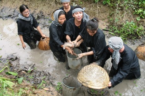 Tour Du Lịch Miền Tây Tát Mương Bắt Cá 1 Ngày